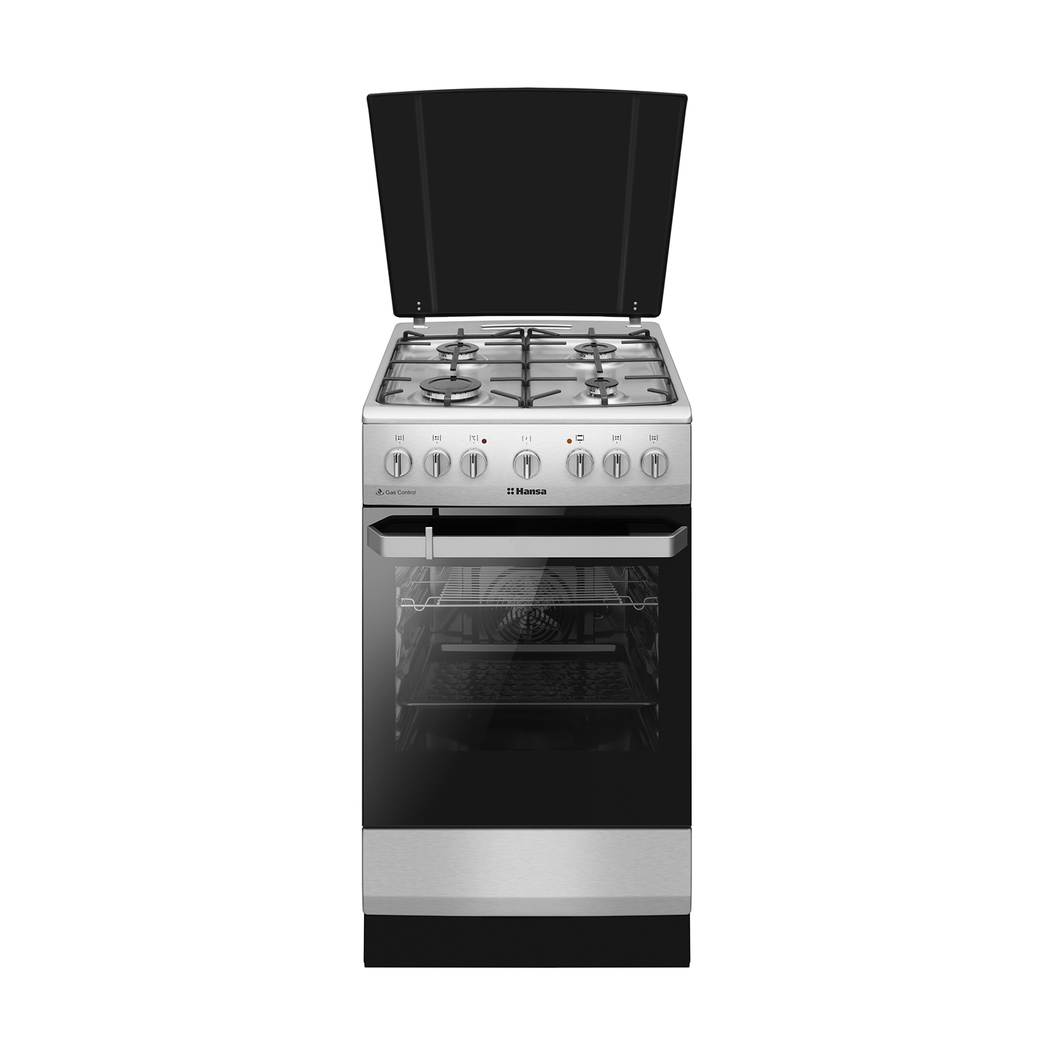 Газоэлектрическая плита Hansa FCMX581009