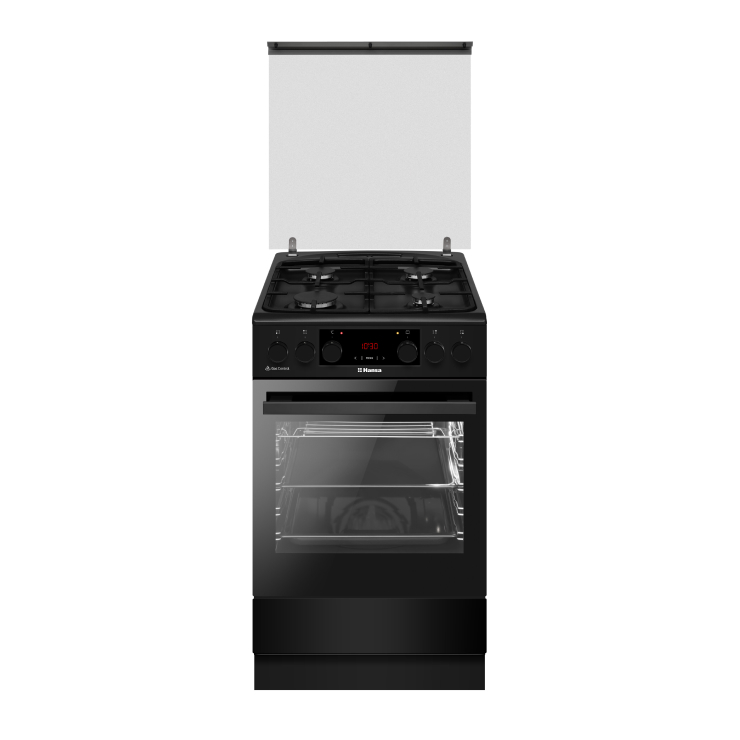 Газоэлектрическая плита Hansa FCMS593563 6