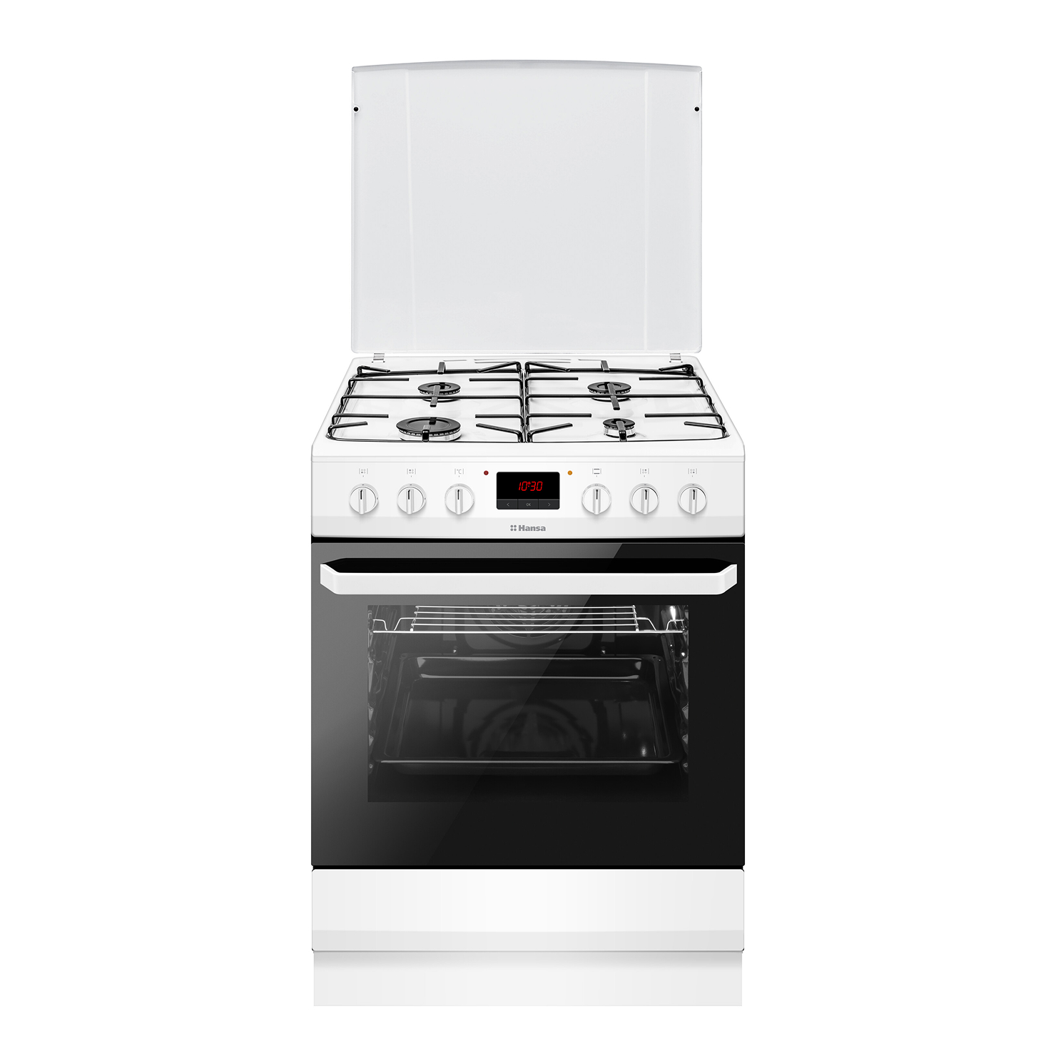 Газоэлектрическая плита Hansa FCMW68299 4