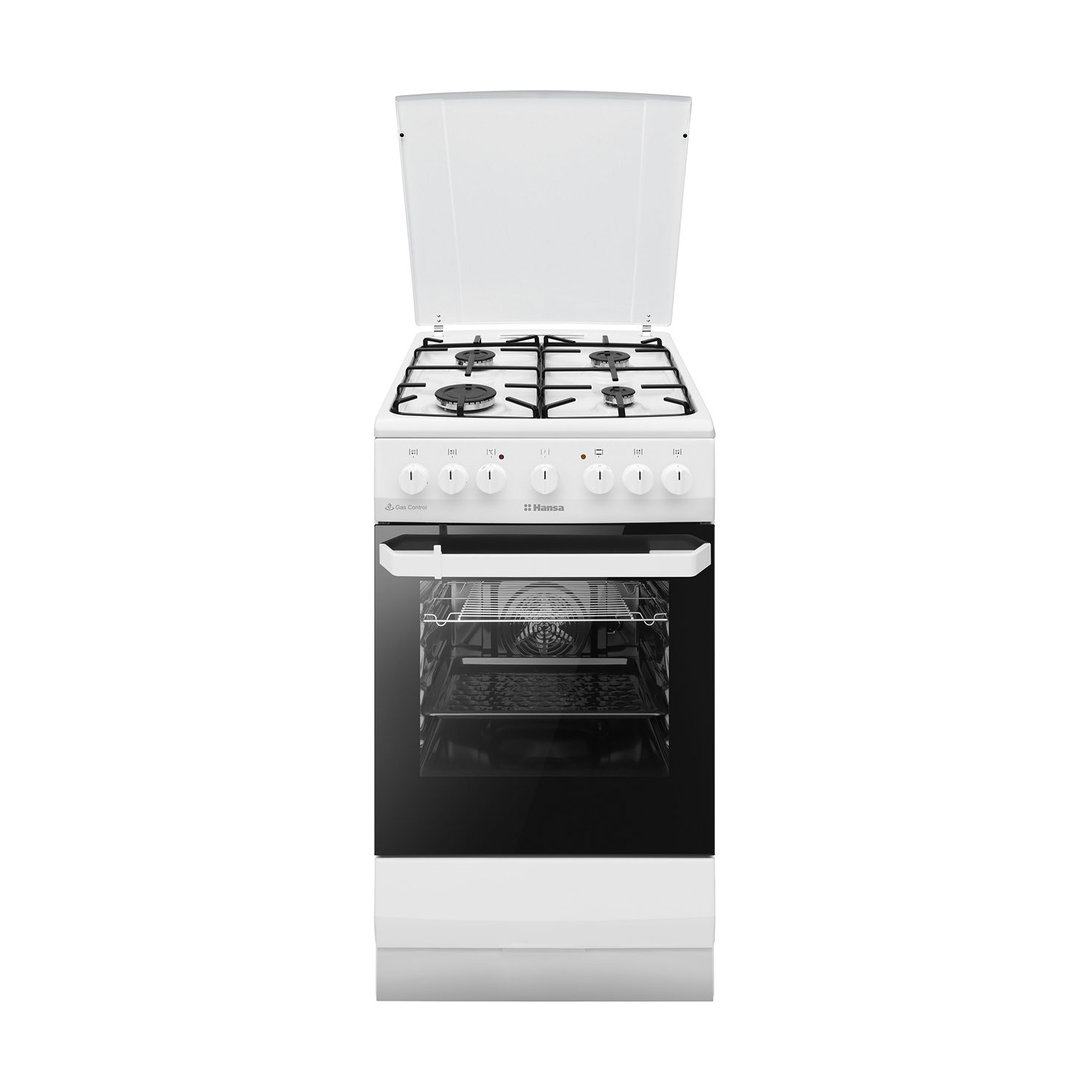 Газоэлектрическая плита Hansa FCMW581009