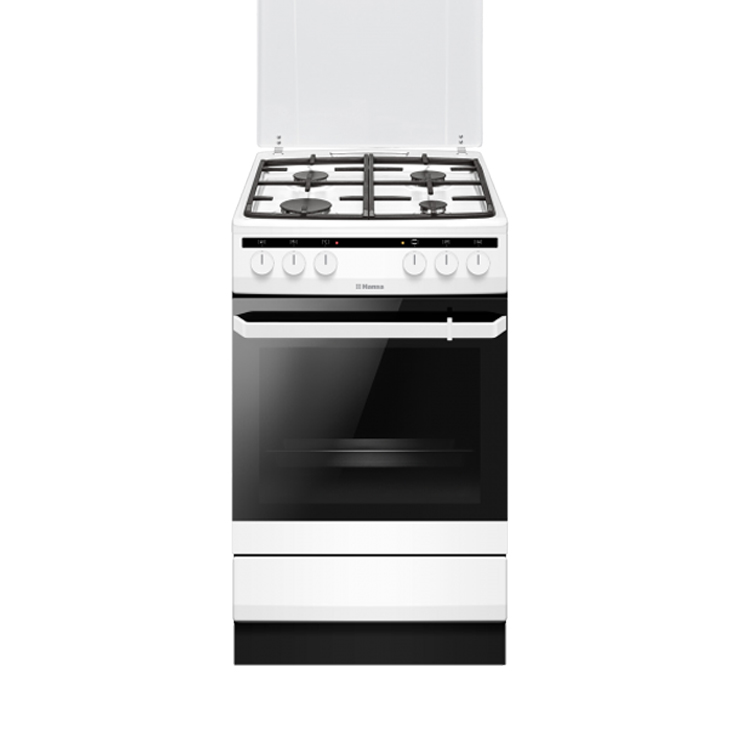 Газоэлектрическая плита Hansa FCMW580250