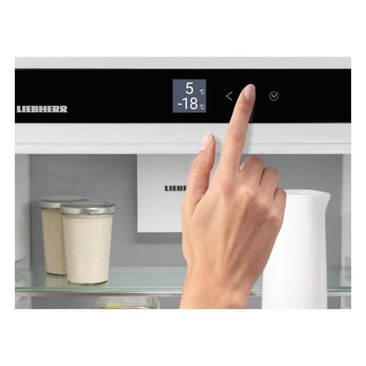 Холодильник Liebherr ICBNSd 5623 Plus BioFresh NoFrost 5623-20001 4
