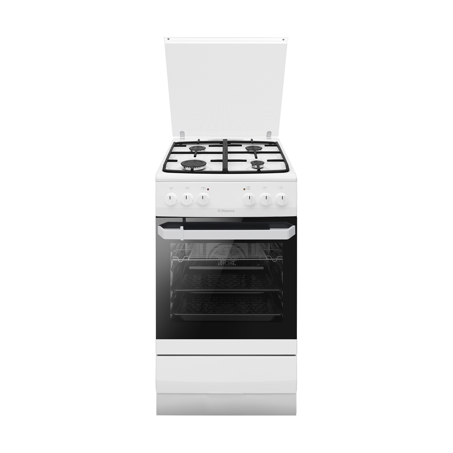 Газоэлектрическая плита Hansa FCMW58077