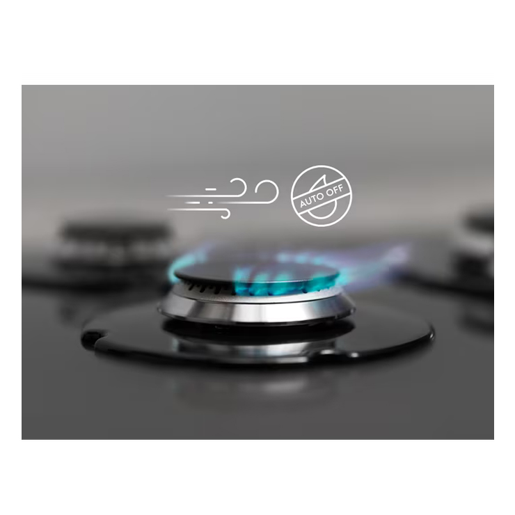 Газовая панель Electrolux EGS6436WW 10