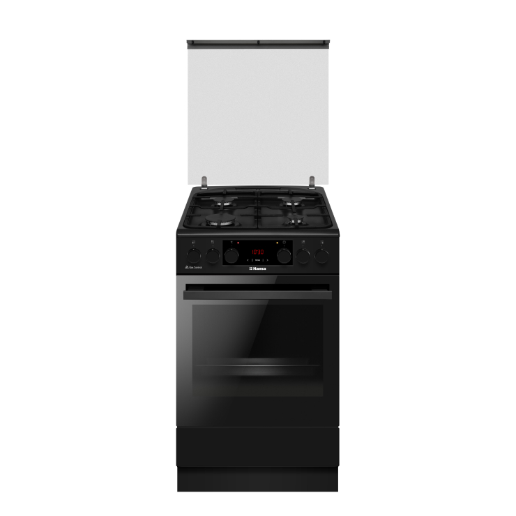 Газоэлектрическая плита Hansa FCMS593563