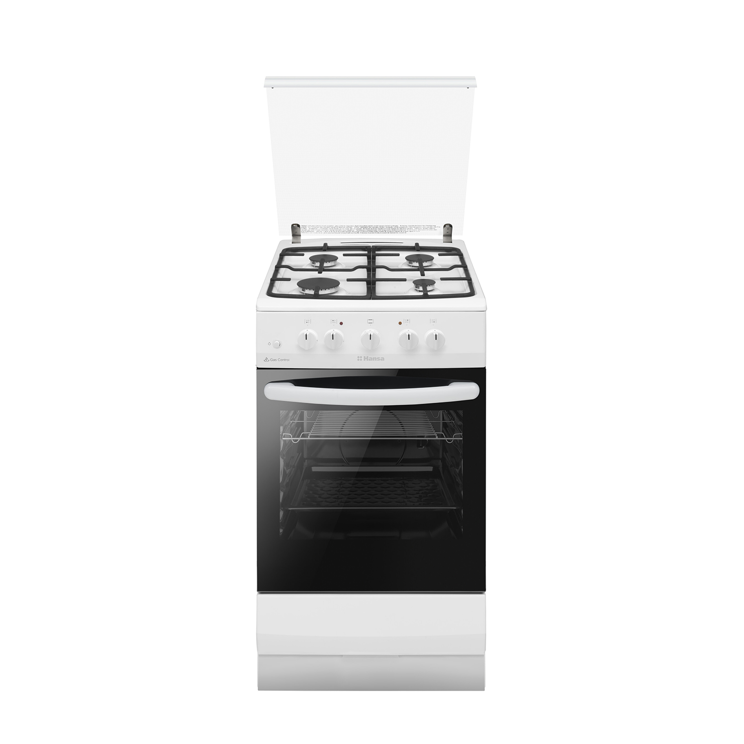 Газовая плита Hansa FCGW530253 6