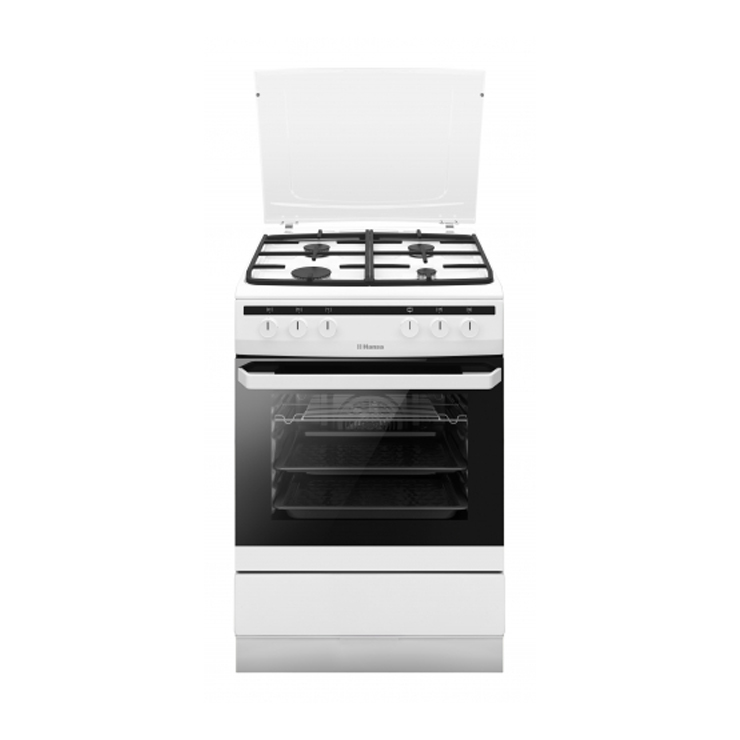 Газоэлектрическая плита Hansa FCMW680451