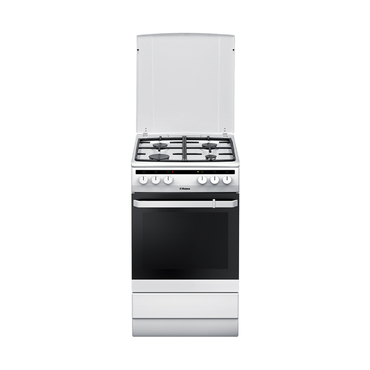 Газоэлектрическая плита Hansa FCMW58020