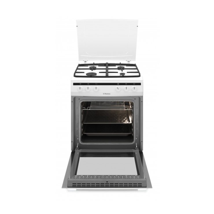 Газоэлектрическая плита Hansa FCMW680451 3