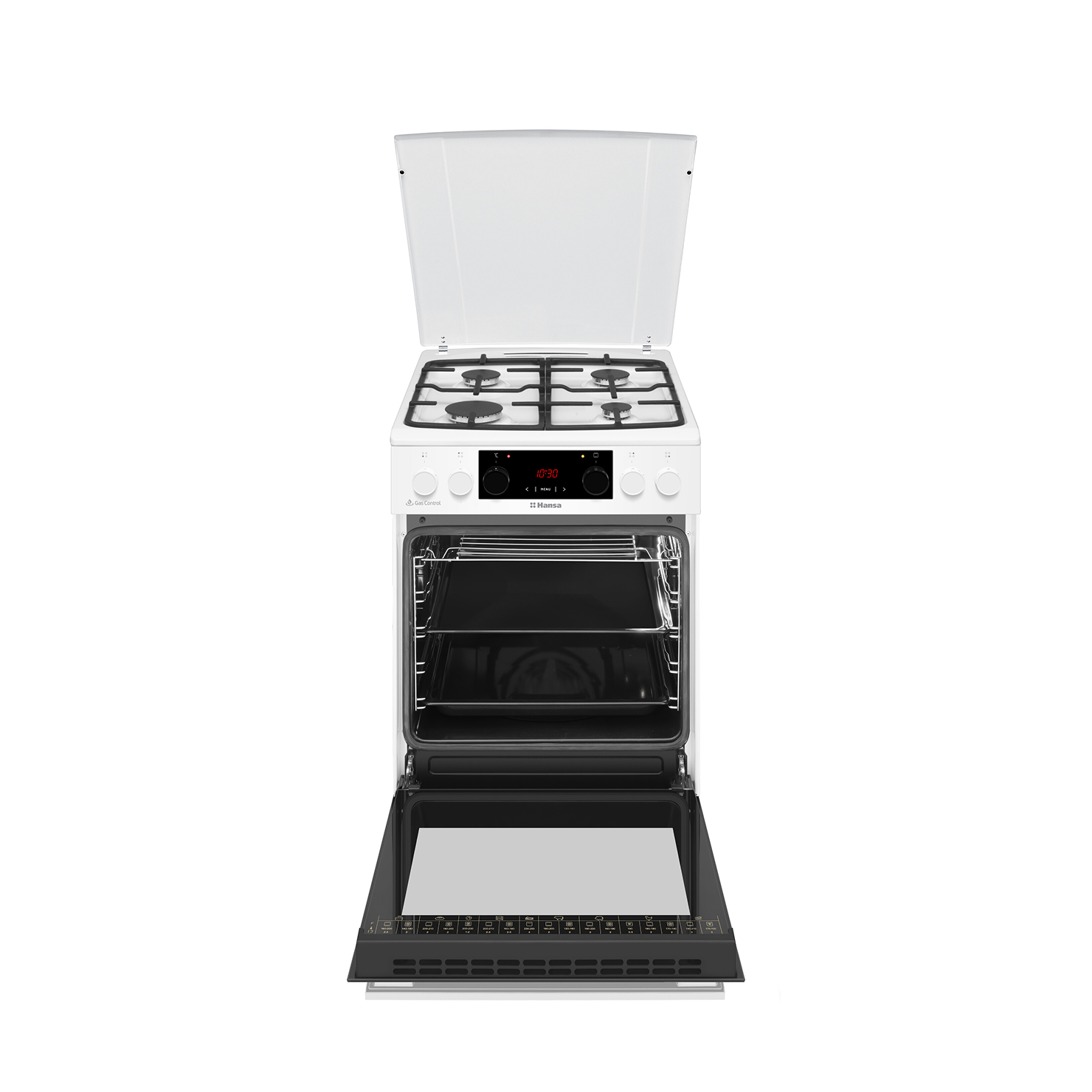 Газоэлектрическая плита Hansa FCMW59329 3