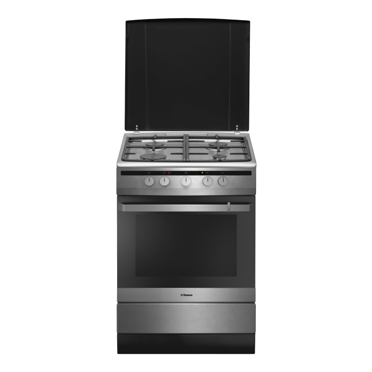 Газоэлектрическая плита Hansa FCMX68022