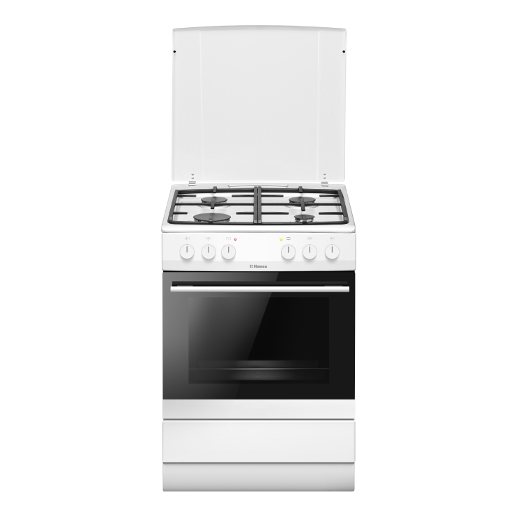 Газоэлектрическая плита Hansa FCMW680254