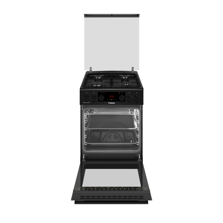 Газоэлектрическая плита Hansa FCMS593563 5