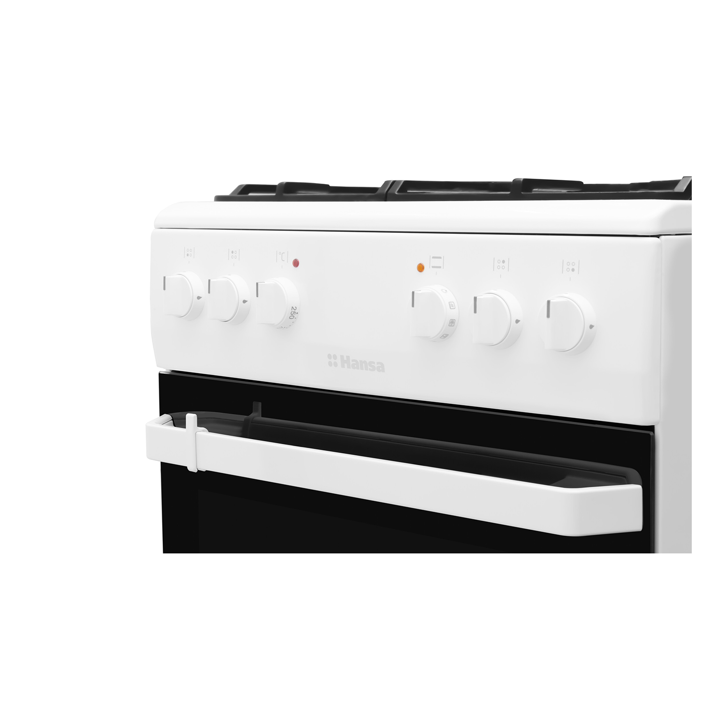 Газоэлектрическая плита Hansa FCMW58077 3