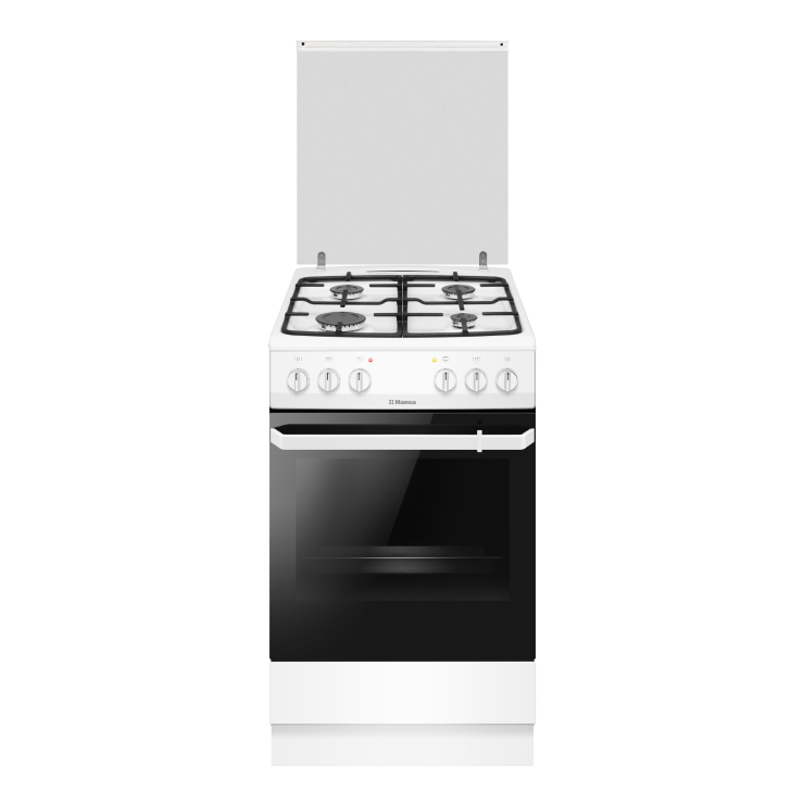 Газоэлектрическая плита Hansa FCMW580577