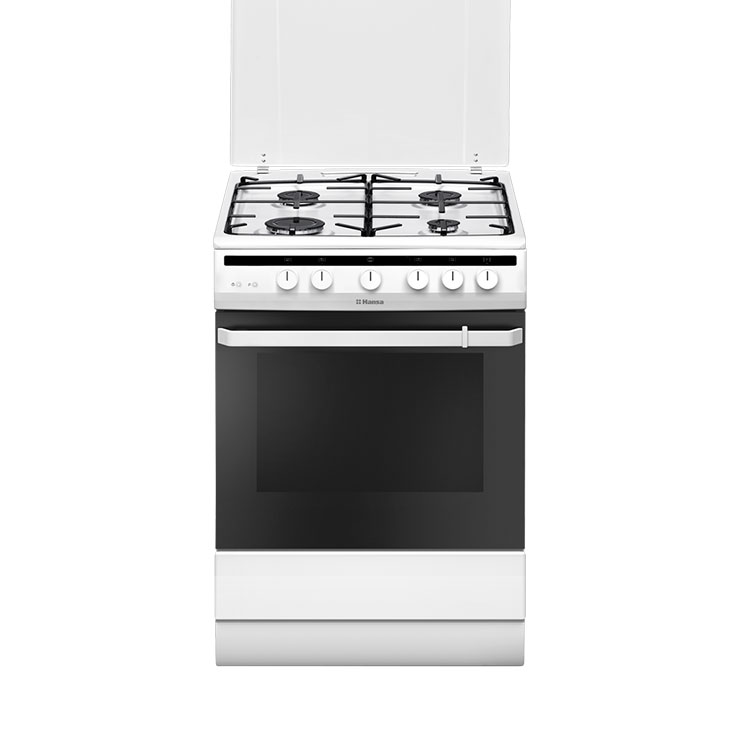 Газовая плита Hansa FCGW61102