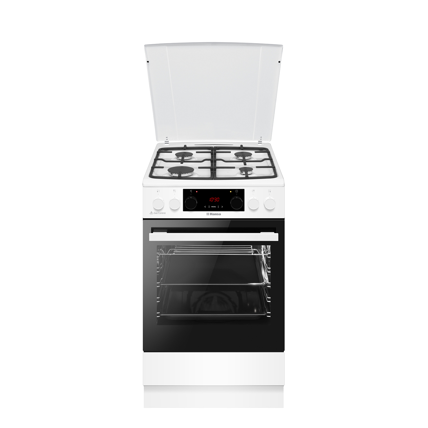 Газоэлектрическая плита Hansa FCMW59329 5