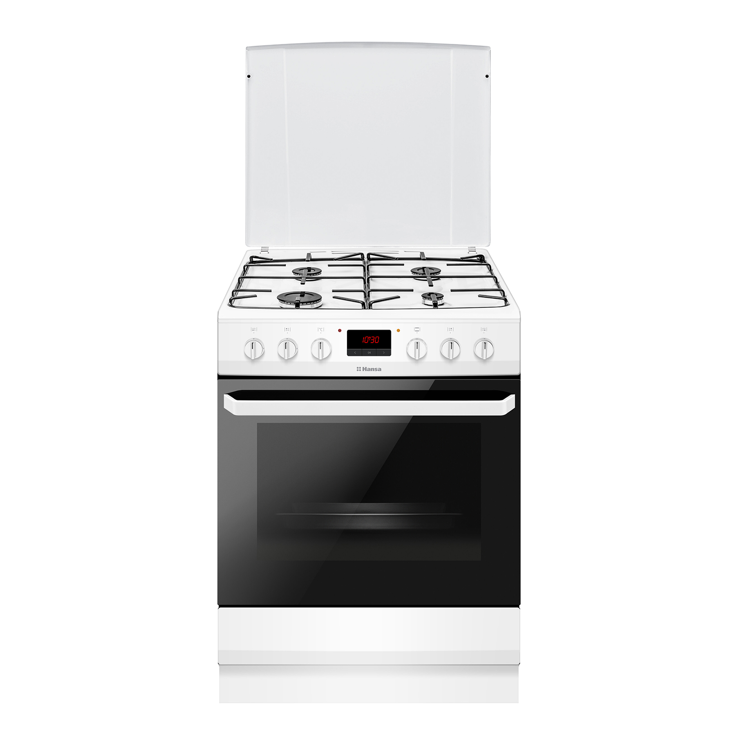 Газоэлектрическая плита Hansa FCMW68299