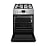 Газоэлектрическая плита Hansa FCMX59229H 4