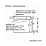 Компактный духовой шкаф Bosch CMG676BB1 7